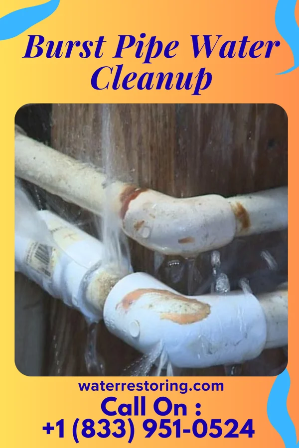 Burst Pipe Water Cleanup in Bonanza, GA