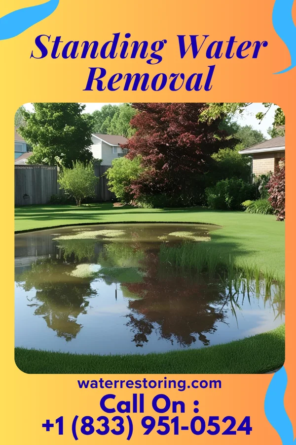 Standing Water Removal in Bonanza, GA